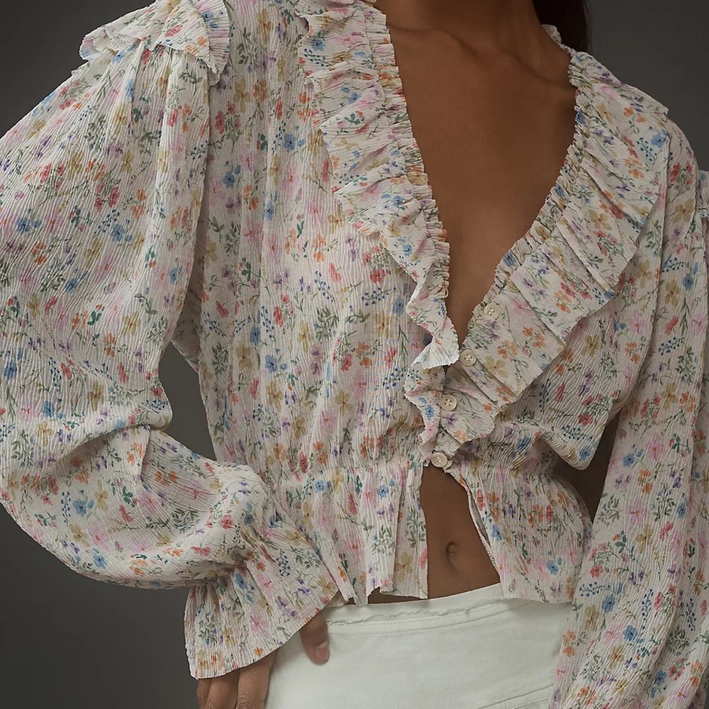 Anthropologie Long-Sleeve Mesh Ruffle Blouse - Women’s Size M